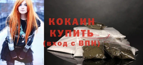 шишки Беломорск