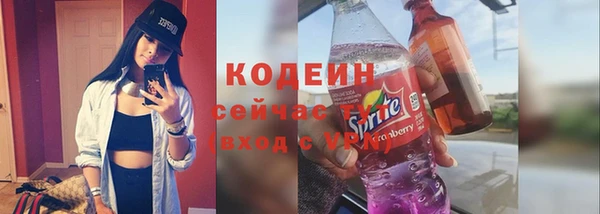шишки Беломорск