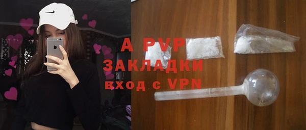 шишки Беломорск