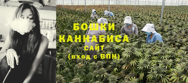 каннабис Белокуриха